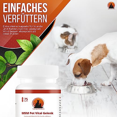Vitalpfoten 75 MSM Pet Vital Gelenk Kapseln für Hunde und Katzen, hochreines Methylsulfonylmethan für Knochen, Knorpel, Bindegewebe