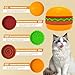All-in-One Travel Cat Feeder Bowl for Dry Food, Wet Food, Slow Feeding, Licking Mats & Water, Multifunctional Hamburger Shape Pet Bowl, 5-Piece Stackable Cat Bowls Set for Travel (Orange)