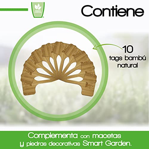Recopilación y reviews de Kit de huerto urbano marca EcoGrow los 10 mejores. 9 Imagen adicional