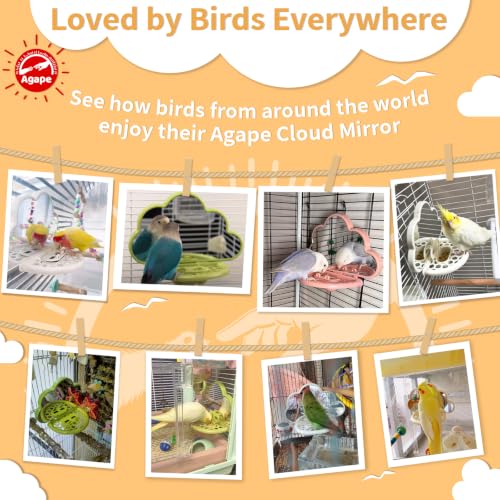 Image of Agape Parakeet Mirror with Perch & Slow Feeder, Bird Cage Accessories for Small Parrots to Expend Energy, Bird Toys for Boredom&Anxiety, Interactive Toy for Cockatiel, Lovebird, Conure, Finch, Budgies