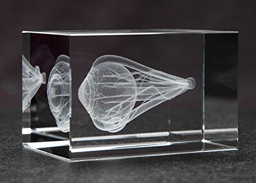 Eye 3D Laser 1Lb Crystal, Anatomy, Ophthalmology #TOP2