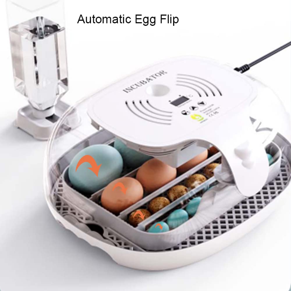 Ei-Inkubator zum Schlüpfen mit automatischer Eierdrehung, LED-Ei-Testlampe, klarer Deckel, leicht zu waschen, 16 Eier, Geflügelbrüter, Bauernhof, Vogel, Wachtel, Huhn, Geflügelfarm, Brüter, W