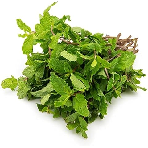 Fresh Mint Leaf Bunch for Cooking Cover