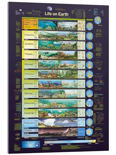 Posterlounge Life on Earth Acrylic print by Planet Poster Editions 13 x 18 cm Wall art Wall decor