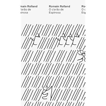 Capa do livro O clarão de Espinosa