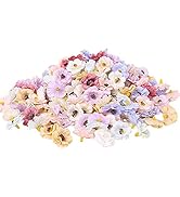 Lot De 4 Grenouilles Florales En Plastique Transparent Pour