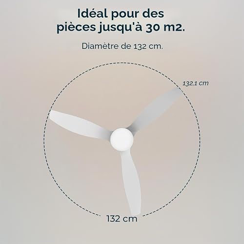Cecotec Ventilateur de Plafond avec Lumière LED Energysilence Aero 5600 Classic White. 40W, Moteur DC, Diamètre 132 cm, 3 Pales, LED 18W, Minuteur, 6 Vitesses, Télécommande, Fonction Été/Hiver - 3