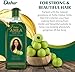 Dabur Amla Hair Oil - 100ml | For Strong, Long & Thick Hair | Nourishes Scalp | Controls Hair Fall, Strengthens Hair & Promotes Hair Growth Dabur Amla Hair Oil - 100ml | For Strong, Long & Thick Hair | Nourishes Scalp | Controls Hair Fall, Strengthens Hair & Promotes Hair Growth