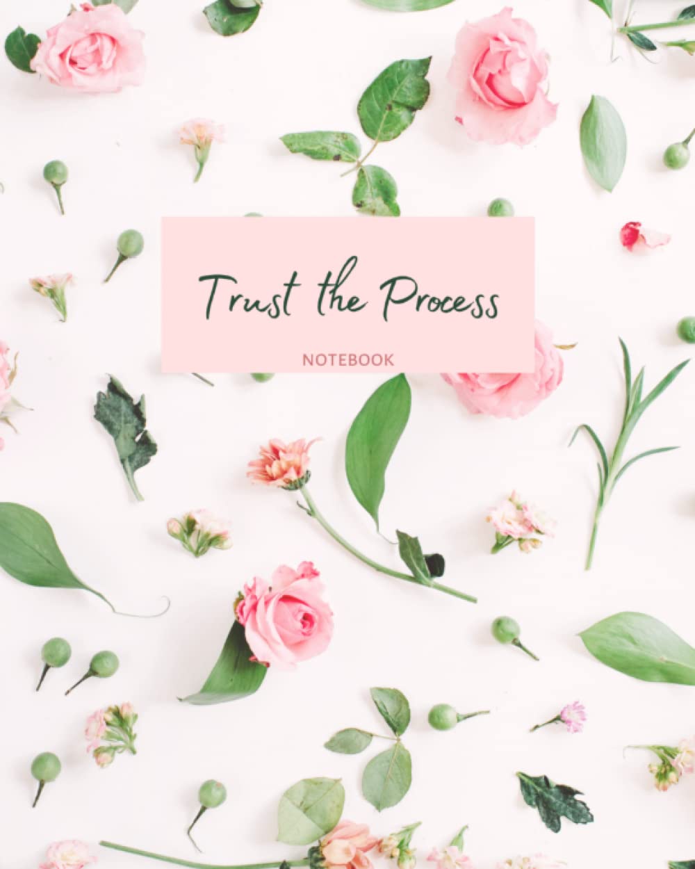 Trust the Process: Notebook