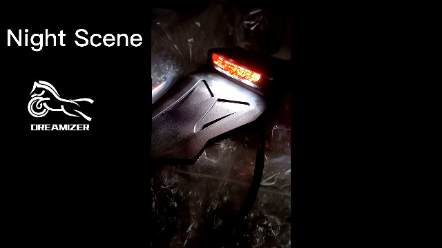 Faro Posteriore LED Per Moto DREAMIZER - Universale, 12V, 8 LED, Per Parafango Off-Road - Foto 2