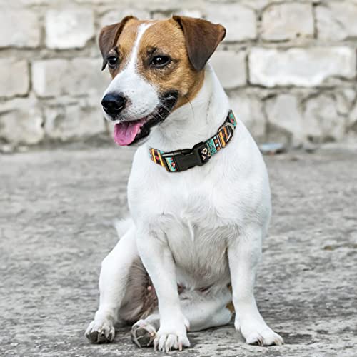 HEELE Hundehalsband, Hunde Halsband für Welpen Kleine Mittlere Große Hunde, Gemustertes Hundehalsbänder Verstellbares, Komfort, Robustem HundeHalsband, Bohemian Cyan, S