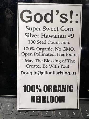100% Organic, Silver, Hawaiian #9, Super, Sweet Corn, Heirloom, Open Pollinated, Non GMO