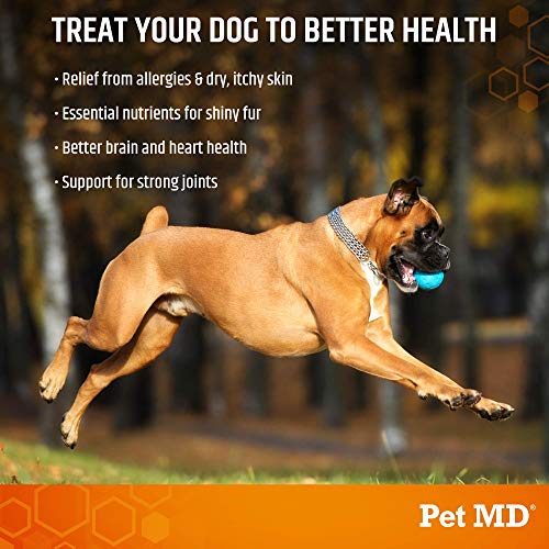 Pet Md Salmon Oil Omega 3 for Dogs  Advanced Allergy  Itch Relief for Dogs  Omega 3  6 Epa  Dha Fish Oil Omega 3 Soft Chews  120 Count  Cucciolini Doodles Pet md salmon oil omega 3 for dogs  advanced allergy  itch relief for dogs  omega 3  6 epa  dha fish oil omega 3 soft chews  120 count   cucciolini doodles