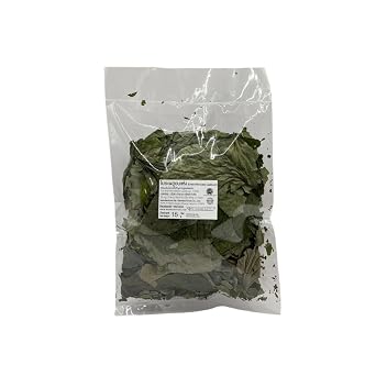 pack of 2 Premium Dried Wild Betel Leafbush 15g Authentic Herbal & Aromatic