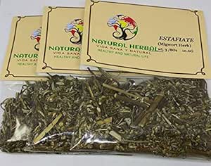 The Wonders of Estafiate: An Ancient Herbal Remedy