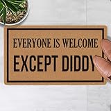 LuckyChu Welcome Door Mat Everyone is Welcome Except Diddy Outdoor Indoor Entrance, Low-Profile Floor Mats Non Slip Durable Entrance Rugs for Entry, Patio, High Traffic Areas Front Door, 17" x 29.5"