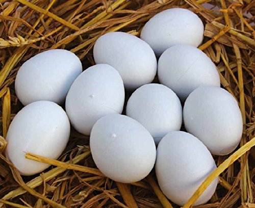 Preisvergleich Produktbild Lockeier Huhn