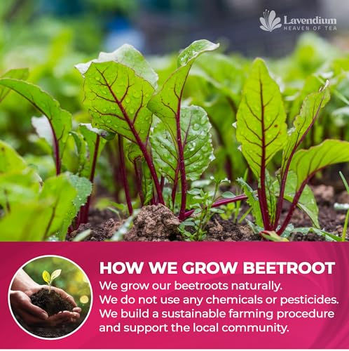 Image of Lavendium, Premium 8oz Beet Root Powder, 100% Natural & Pure Ground Beetroot, No Additives or Preservatives, Non-GMO, Plant-Based & Vegan, Perfect for Smoothies, Juices, Baking & Lattes