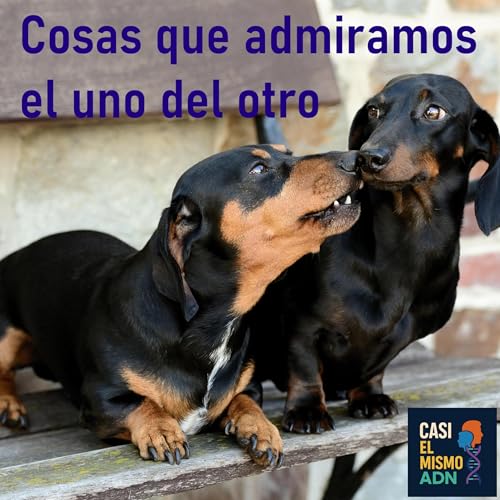 Cosas que admiramos el uno del otro