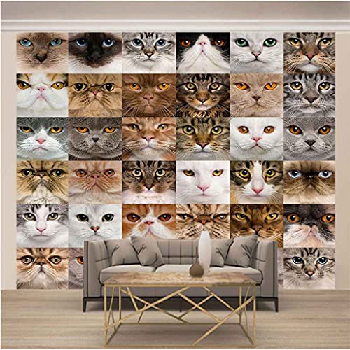 Papier Peint Canevas 3D Chat Impression d'Art Moderne pour Bureau