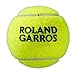 WILSON Roland Garros Clay Court Tennis Ball Case