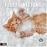 RED EMBER Fluffy Kittens 2022 Hangable Wall Calendar - 12' x 24' Opened - Thick & Sturdy Paper -...