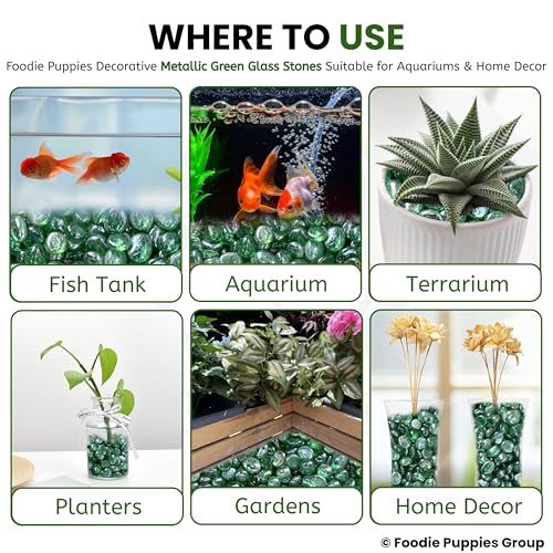 Image of Foodie Puppies Flat Glass Clear Stone (400gm, Metallic Blue) (2cm - 2.5cm) for Aquariums, Fireplace, Firepit Glass for Indoor and Outdoor, Vase Filler, Hydroponics Plants, Home Decor and DIY Craft