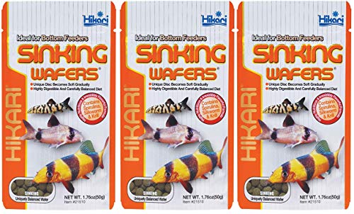 Hikari Tropical Sinking Wafers Fish Food [Set of 3] Size: 1.76 Ounces