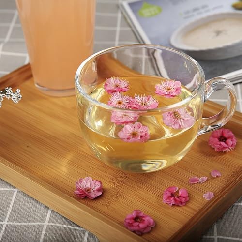 Image of OM RADHEY Glass Cup Set | 450 ml Tempered Glass Cups with Handle | Transparent Tea, Coffee, Milk Mugs | (Set of 4) Green Tea Mug, cappuccinos /Espresso Cup, Soup Bowl Jumbo /Big Milk Glass Cup