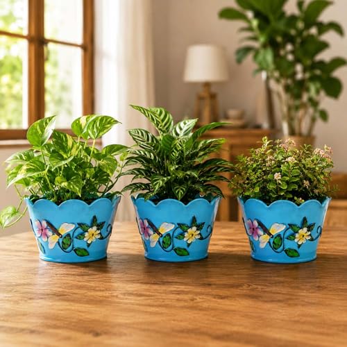 Image of Go Hooked Metal Flower Pot Planter (Pack of 3, 6 Inch) | Decorative Blue Indoor Outdoor Plant Pot with Floral Embossed Design | Round Planter for Home Balcony Garden Decor
