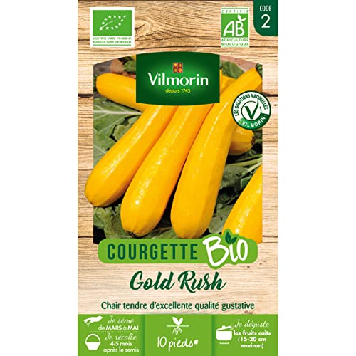 Courgette Jaune Gold Rush HF1 - BIO