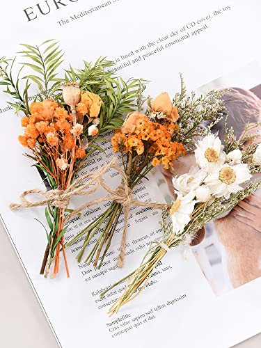 10PCS Mini Ramilletes de Flores Secas para Manualidades miniatura 6