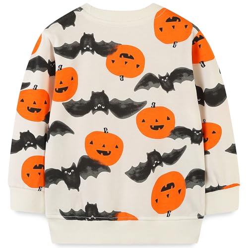 Image of AIWUHE Toddler Cotton Sweatshirt Boys Girls Pullover Long Sleeve Tops 2-6Y | Tops Blouse, Cotton T-Shirt, Fall Winter Clothes