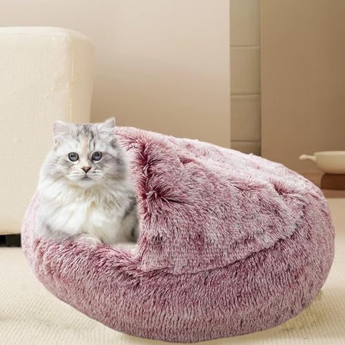 Lit pour chat haut de gamme avec niche confortable intégrée - 3