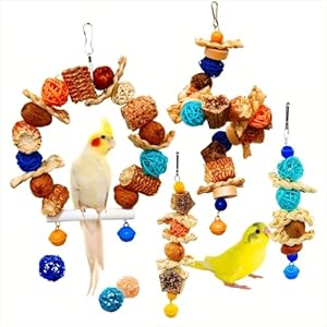 Parakeet Swing Toys,Bird Cage Hanging Chewing Toys,Natural Bird Parrot Toys for Budgerigar Conure Cockatiel Lovebirds Finches