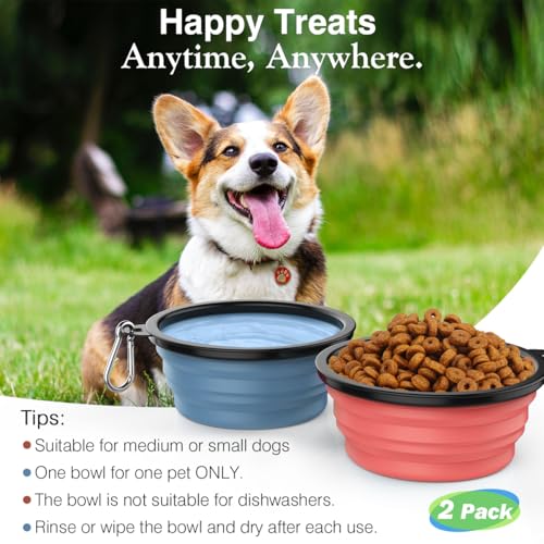 Pawaboo Faltbar Hundenapf, 2 Stück 450ml Hund Reisenäpfe Tragbar Silikon Auslaufsicher Trinknapf Fressnapf mit Deckel und Karabiner für Hunde Katzen Spaziergänge Unterwegs, Hellrosa + Blau