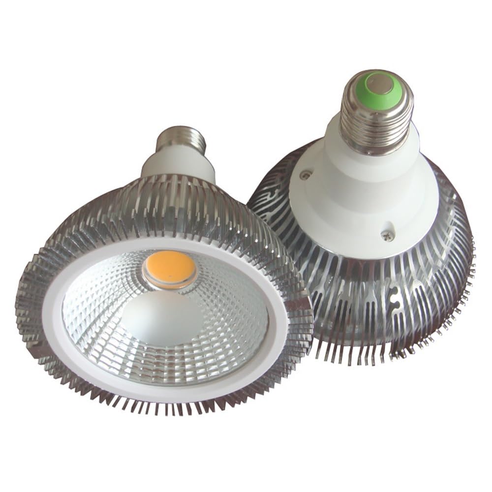 RZL Éclairage, Lot de 4 spots LED COB, E27 12 W AC85~265 V, ampoule PAR38 en aluminium(Natural white)