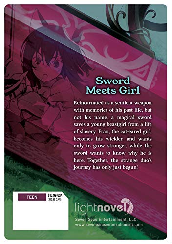 Image of Reincarnated as a Sword (Light Novel) Vol. 1