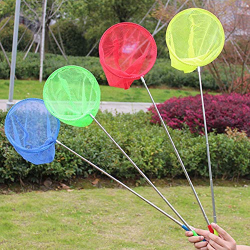 Insecte pour enfant Boîte à insectes Nature Exploration Papillon Science Jouet éducatif Insecte pour enfant Boîte à insectes Nature Exploration Papillon Science Jouet éducatif