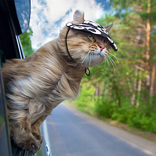 4 Pieces Dog Baseball Cap Pet Outdoor Sports Hats Dogs Hat Visor Cap With Ear Holes Adjustable Dog Sport Sun Protection Baseball Cap For Puppy Small Dogs And Kitty #TOP6