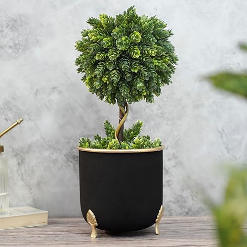 Image of BEHOMA Black Metal Leaf Leg Planter 6 inch Tabletop Planter | Pot for Indoor Outdoor Balcony Living Room | Table Plant Pot with Leaf Leg for Gifting