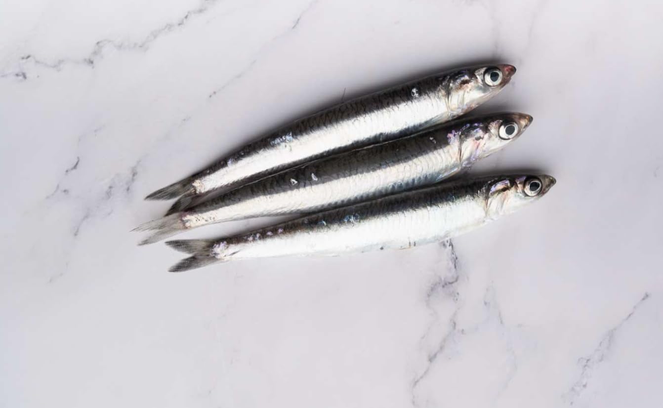Mr. Moris® | Filets d'anchois de la mer Cantabrique à l'huile d'olive | Fait à la main | Kosher | Certifié MSC issu de la pêche durable | Au cas où | 1 Paquet 50g