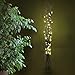 Produktbild Dapo® Dekorations-Zweige-Leuchte Lichterzweige 50 LED 0,06W Weihnachts-Party-Stimmungs-Leuchte-Lampe 5 Ratanzweige Weidenzweige 100cm