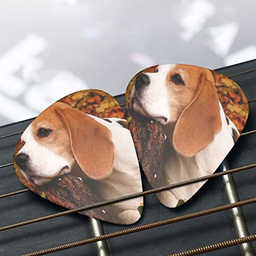 Lot de 12 médiators pour guitare électrique et acoustique Motif chien Beagle en automne - Les Beatles, Paul McCartney, John Lennon, RIngo Starr, George Harrison Lot de 12 médiators pour guitare électrique et acoustique Motif chien Beagle en automne – Image 8