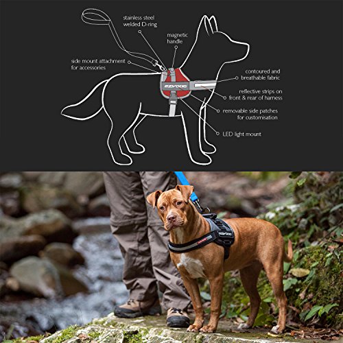 Ezydog Convert Trail-Ready Outdoor Adjustable Dog Harness - Perfect For Hiking, Walking, And Doubles As A Service Dog Vest - Superior Comfort Design With A Durable Traffic Handle (Large, Blue) #TOP2