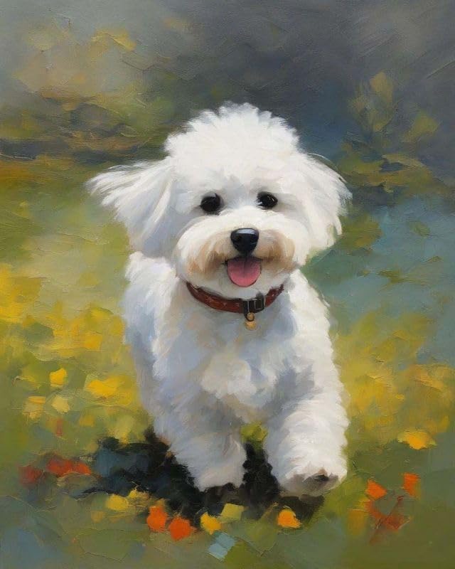 Adults' Paint by Number Kits, Bichon Frise on The Grass,Paint by Number Kits on Canvas,DIY Oil Paintings for Kids Beginners Arts and Crafts,40x50cm No Frame