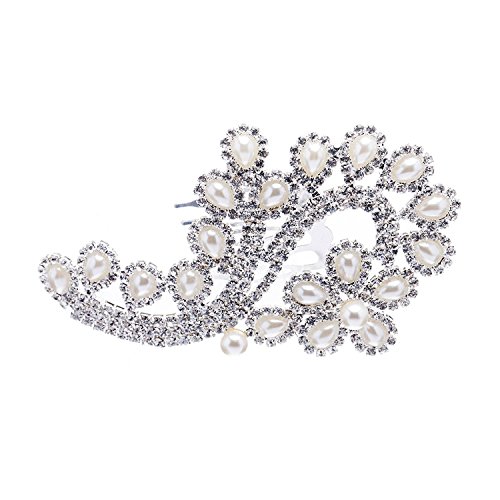 ACCESSORIESFOREVER Women Bridal Wedding Jewelry Crystal Rhinestone Pearl Floral Teardrops Hair Comb Pin