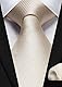 HISDERN Krawatten für Herren Beige Krawatte mit Einstecktuch Formelle Klassische Hochzeit Herrenkrawatte und Taschentuch Set für Männer