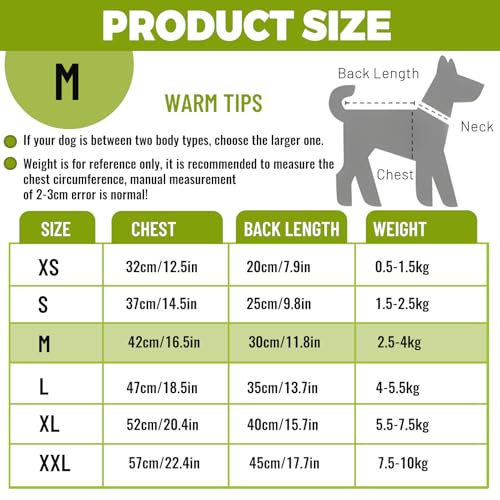Chihuahua Kleidung, FainFun Hundebekleidung, Hunde Weihnachtspullover, Hunter Hundepullover, Schützt das Gesicht Ihres Hundes oder Ihrer Katze, mit Schlepplöchern (Weiß Grün, M)