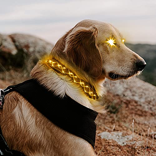 MORLIGHT LED Dog Collar, USB Rechargeable Embroidery Rope Light up pet Collar, LED Light up Necklace Dog Collar Makes Your Dog Visible, Safe for Night Walk (Yellow, Largeï¼š(45-70) cm / (17.7-27.5) in)